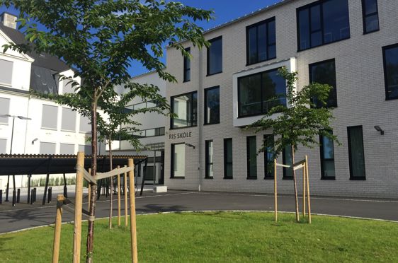 Ris skole