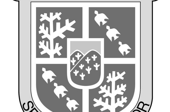 Skolefane og logo Ris skole